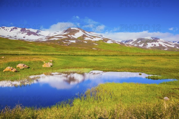 Summer Iceland. Blue lake water reflects the snowy hills. The fields overgrown with fresh green grass