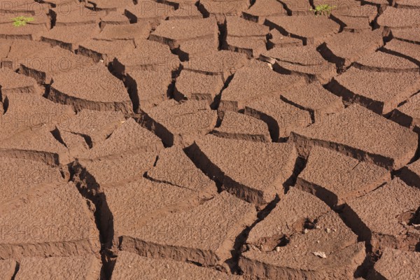 Drought, Lake of the canards, Lakes of Neila, Burgos, Castilla y Leon, Spain