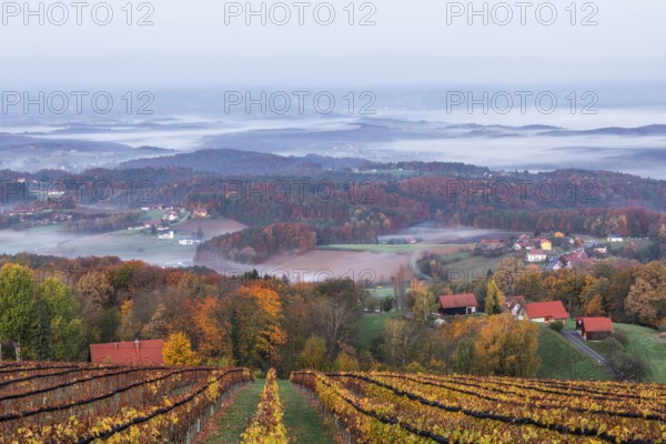 Autumn atmosphere in the early morning, vineyard, fog drifts through the hilly landscape in the valley, St. Andrä-Höch, Sausal wine country, Styria, Austria