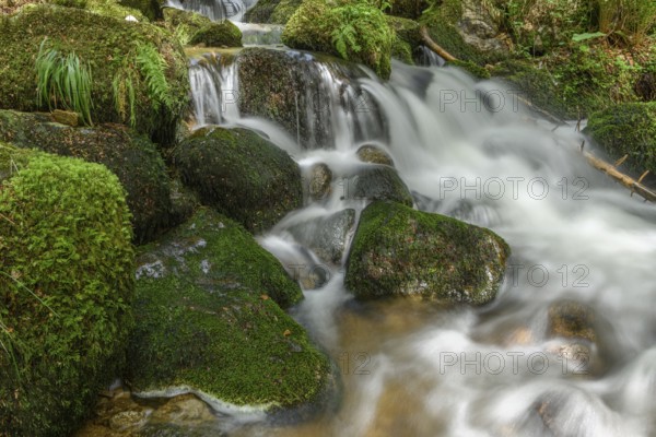 Mountain torrent in the Vosges. Charlemagne waterfall on the Vologne