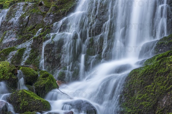 Fresh and beautiful waterfalls in a mountain torrent in spring. La Serva, Champ du feu, Vosges, Alsace, France