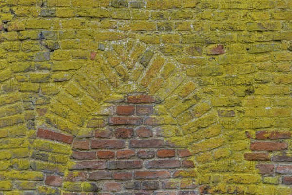 Background with brick wall grown with mos and ancient medieval window shape