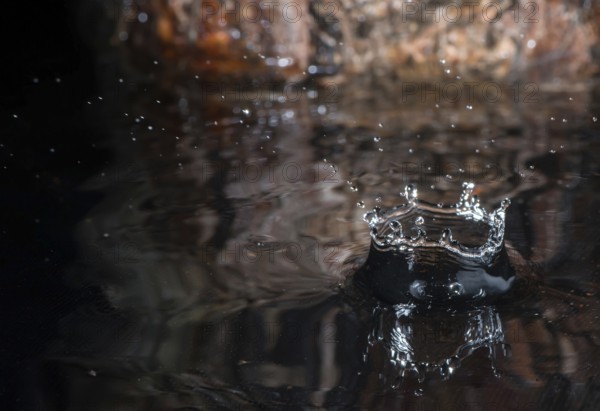 Water drops in nature environment. Wooden background
