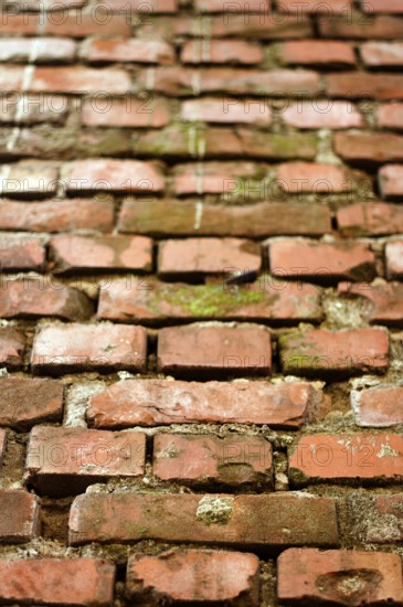 Old brick wall. Close up