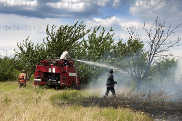 Firefighters extinguish a fire. Trees and grass