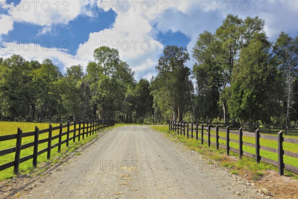 Farm for breeding horses. Gravel road between the walled green lawns