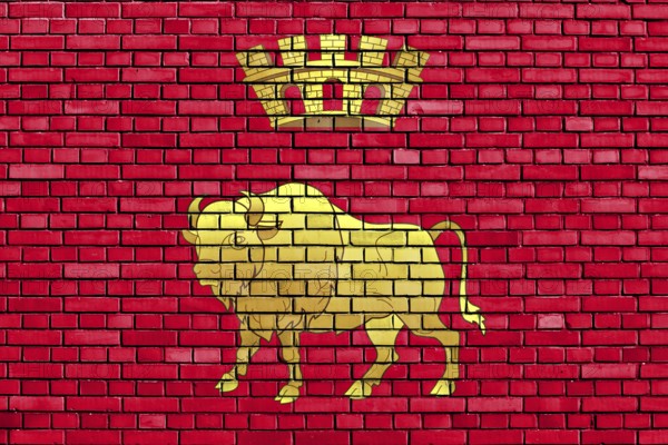Flag of Grodno Region painted on brick wall