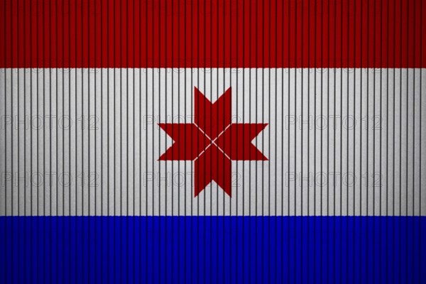 Mordovia Flag painted on the cracked grunge concrete wall