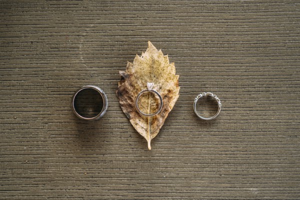 Wedding rings and bride's engagement ring on gray texture with yellow leaf of wood.