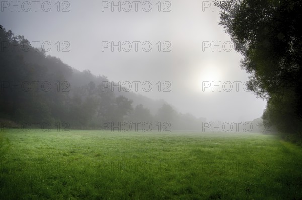 Morning atmosphere with fog