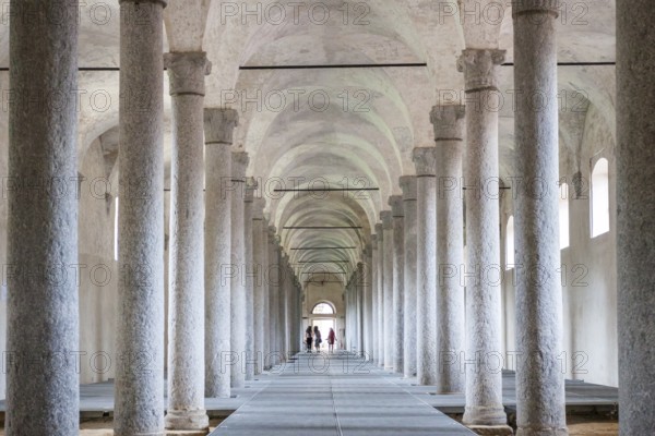 Renovation of ducal stables. Vigevano, Lombardia. Italy