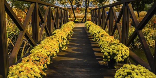 Wooden footbridge over a pond with pots of yellow daisies lining each side of the walkway, South Korea