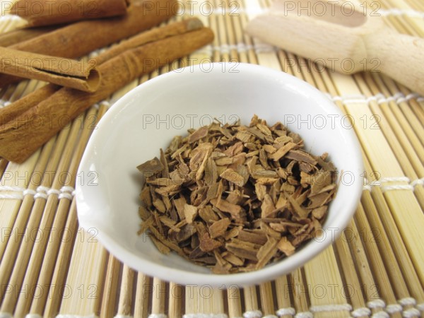 Cinnamon bark, Cinnamomi cortex