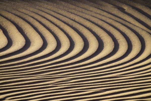 Background texture of sand dunes in Sahara desert