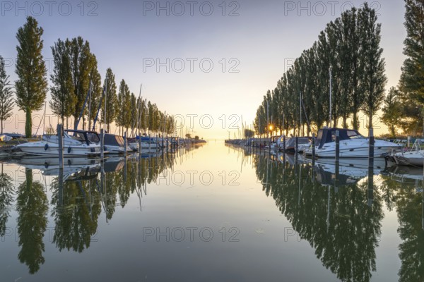 Boats are moored in a harbour, the reflection in the water and the trees create a peaceful morning atmosphere, Harbour, moss, Höri, Lake Constance, Baden-Württemberg, Germany