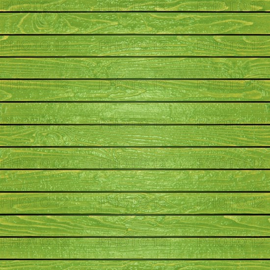 Green painted wooden planks creating a rustic and textured background, ideal for design projects related to nature, construction, or diy.Belarus
