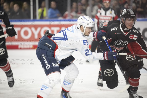 LanxessArena, Cologne, North Rhine-Westphalia, Justin Schütz (Cologne Sharks, #10), Yannik Proske (Adler Mannheim, #27), PENNY DEL, Cologne Sharks-Adler Mannheim on 02/02/2025 at the LanxessArena in Cologne Germany