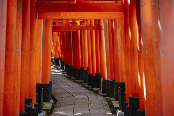 Kyoto, Japan - May 15 2019: Red Tori Gate at Fushimi Inari Shrine in Kyoto, Japan. One of the largest tourist attractions in Japan