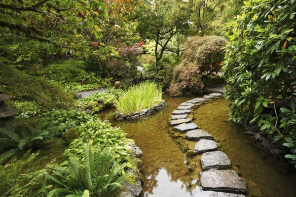Traditional Japanese garden. A stream and a decorative path from stones