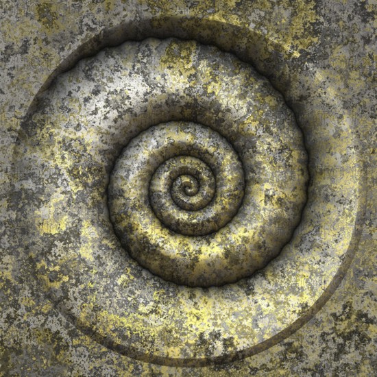 An image of a nice shell petrification
