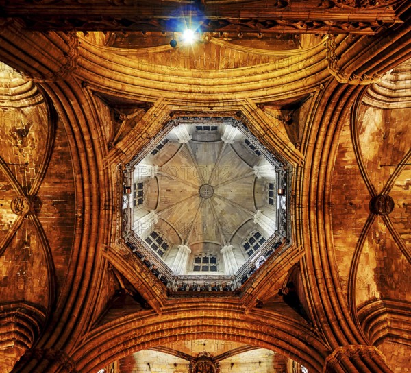 Ceiling of Barcelona Cathedral