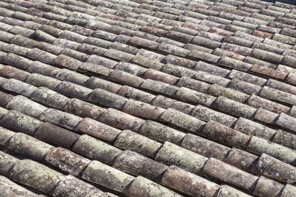 Old tiled roof as background