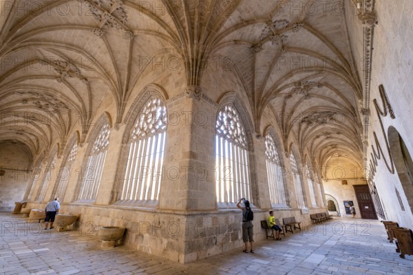 Claustro, Catedral de Santa María de la Asunción, El Burgo de Osma, Soria, comunidad autónoma de Castilla y León, Spain