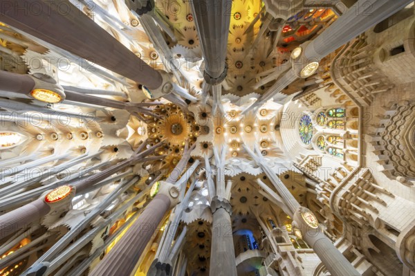 Barcelona, Spain, April 7, 2023: Interior of La Sagrada Familia cathedral, designed by Gaudi, it is being built since 1882. graphy