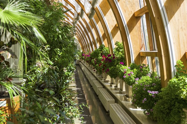 Moscow, Russia, May 5, 2018: Orangery in the museum and park reserve Tsaritsyno. Moscow, Russia