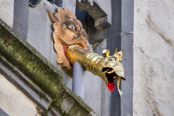 Dragon-headed gargoyle of the town hall, Hannoversch Münden, Lower Saxony, Germany