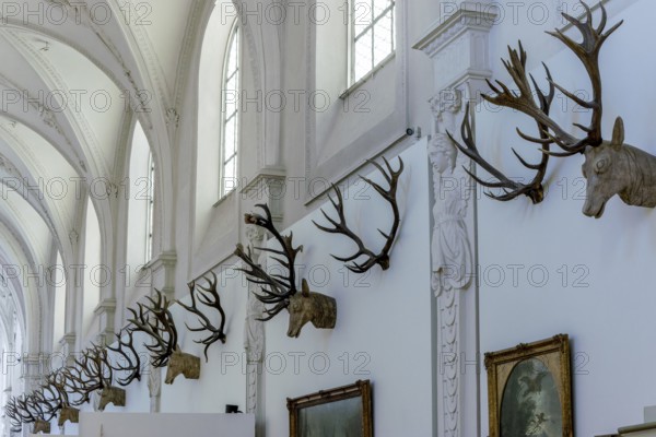 Hunting trophies on the wall in the German Hunting and Fishing Museum, Munich, Upper Bavaria, Bavaria, Germany