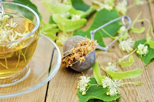 Metal sieve with dried flowers of linden, fresh linden flowers, tea in a glass cup on a wooden board