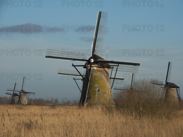 Windmills in reeds under a blue sky with clouds, Kinderdujk, Netherlands