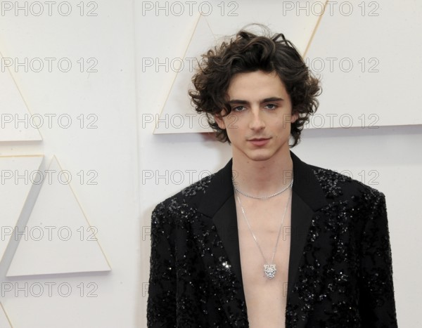 Timothée Chalamet at the 94th Annual Academy Awards held at the Dolby Theatre in Los Angeles, USA on March 27, 2022