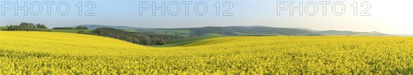 Panorama with the agricultural hills from Moravia, near the village Korycany in the Czech Republic