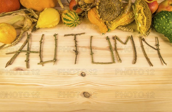 The word autumn written out of tree twigs on a wooden background, with the results of the harvest like, pumpkins, corn, wheat and sunflower