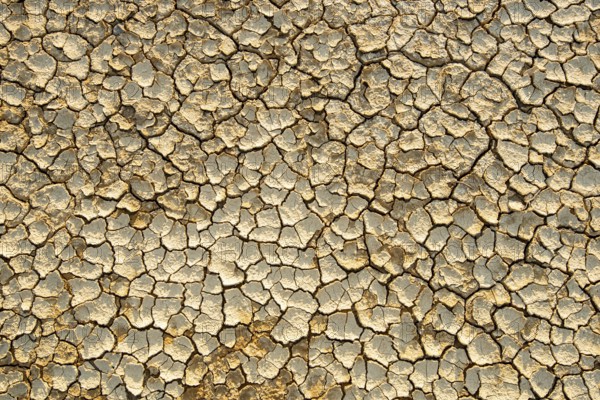 Dry cracked ground background. Concept image of global warming