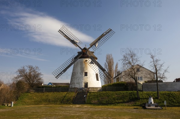 Windmill, Podersdorf am See, Burgenland, Austria