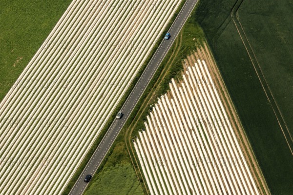 Spagel fields on the Lower Rhine
