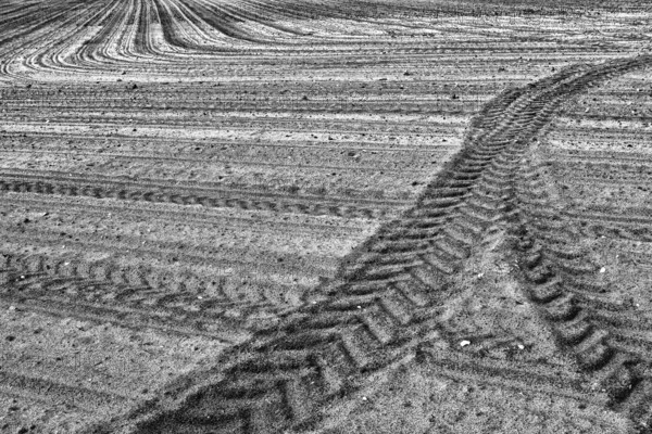 Sand, sandy soil, tractor tracks