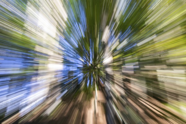 Autumn forest, zoom effect, Weitental near Bruck an der Mur, Styria, Austria