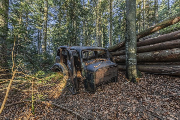 Wrecked car Hudson Terraplane K Tourer Sedan built in 1935 that has been sitting in a forest for decades, Menzingen, Zug, Switzerland
