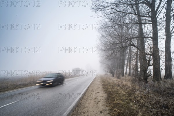 Car on a road in fog. Morning in fog