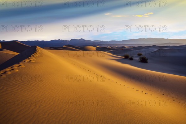 Mesquite Flat Sand Dunes - dunes in Death Valley. The morning. The sand lies in light waves. Human footprints visible along the crest of the dune. The concept of extreme and photo tourism