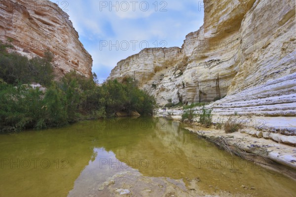 Unique canyon in the Negev Desert - En - Avdat. Striped sandstone walls and a stream at the bottom of the canyon