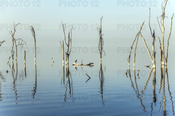 Sunrise on Lake Nakuru. Safari - tour to the famous reserve Lake Nakuru National Park, Kenya. The concept of exotic, ecological and phototourism