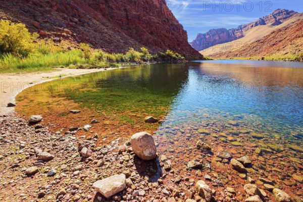 The historic Lees Ferry on the Colorado River. The multicolored canyon of orange and red Navajo sandstones. The water of the river reflects the steep rocks