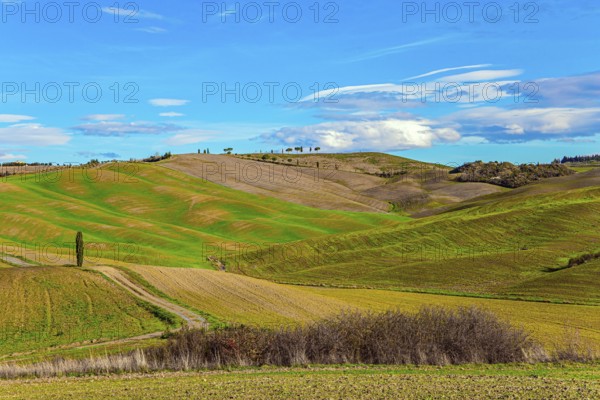 Travel to Tuscany. Sunny day at the beginning of winter. The famous picturesque and harmonious hills of the Val d'Orcia. Italy