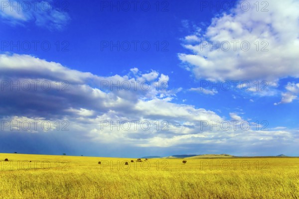 Travel to tropical Africa. The Horn of Africa. Gorgeous cumulus clouds pile up over a grassy savannah. The concept of ecological, exotic, extreme and photo tourism