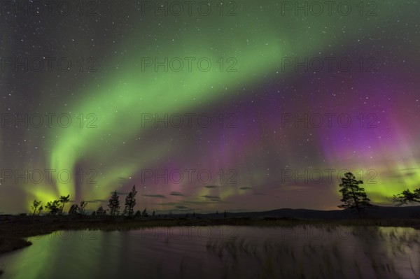 Northern Lights (Aurora borealis) reflected in a mountain lake, Gällivare, Norrbotten, Lapland, Sweden, October 2013